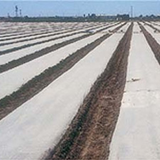 soil fumigation